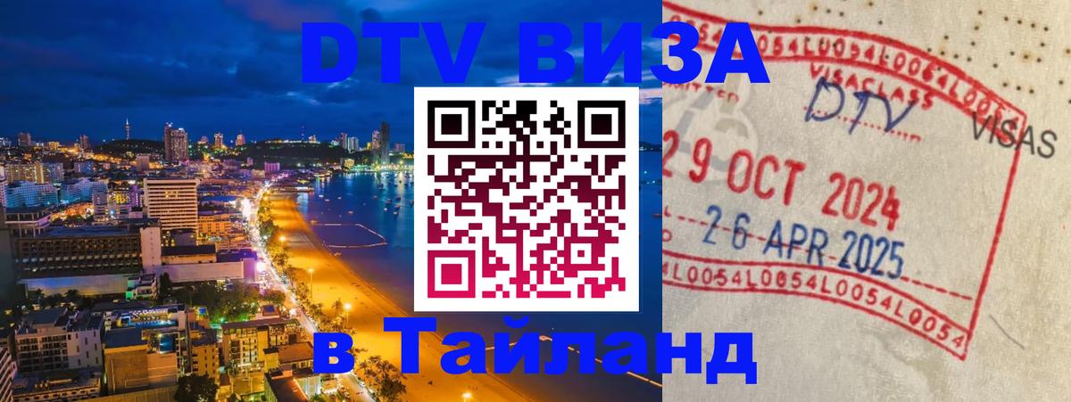 Оформление DTV визы под ключ: стоимость и тарифы, только загранпаспорт - Димитровград  21.11.2025 